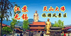 免费看黄色艹逼的网站江苏无锡灵山大佛旅游风景区